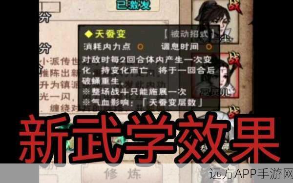烟雨江湖深度解析,天一神功最佳搭配套路全揭秘