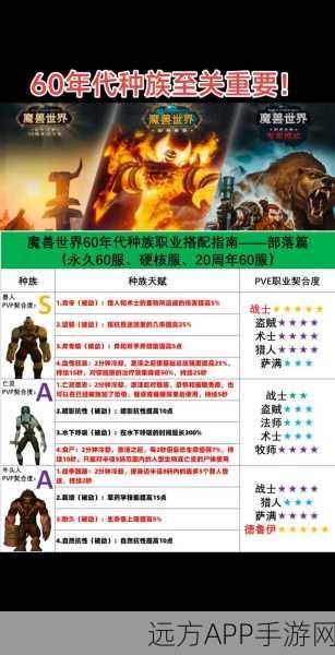 部落猎人种族精选策略，解锁顶尖猎人之路