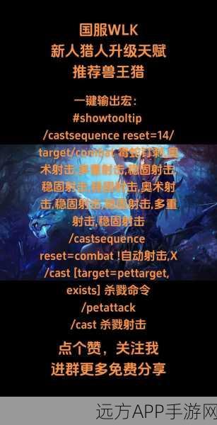 部落猎人种族精选策略,解锁顶尖猎人之路