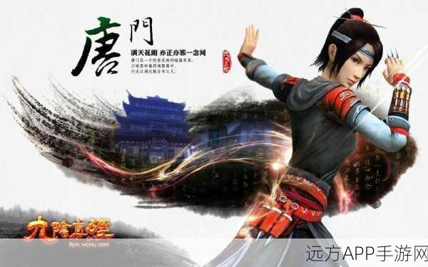 独家揭秘，九阴真经16位珍稀激活码争夺战全面开启