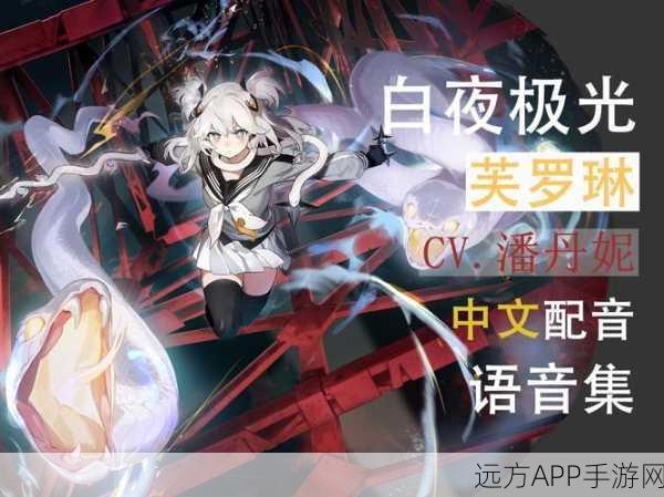 白夜极光,全面解析等级重置技巧与策略
