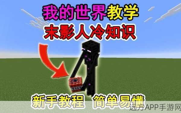 我的世界深度攻略,揭秘末影人的驯服之谜