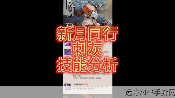 新月同行结抽取深度剖析,性价比与实战价值全揭秘