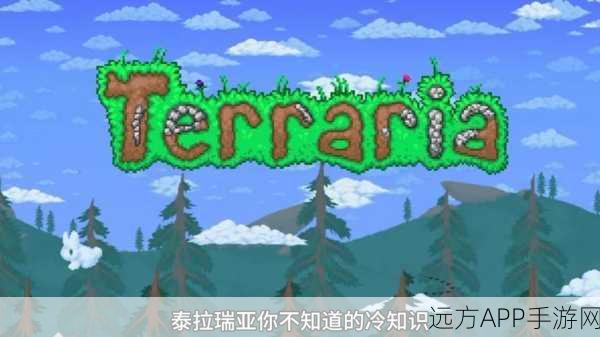 泰拉瑞亚探险大赛,揭秘UFO踪迹,赢取神秘大奖!