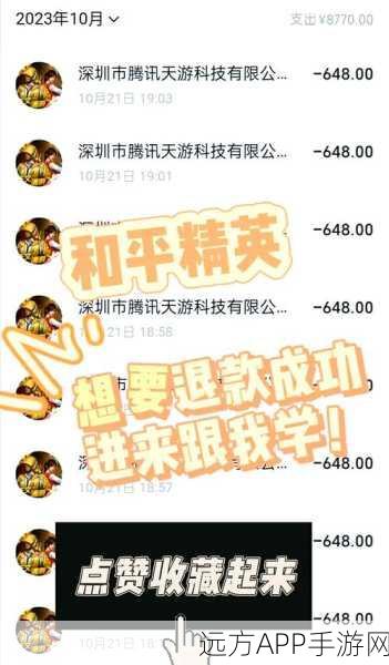 和平精英退款成功案例揭秘，退款流程、条件及玩家经验分享