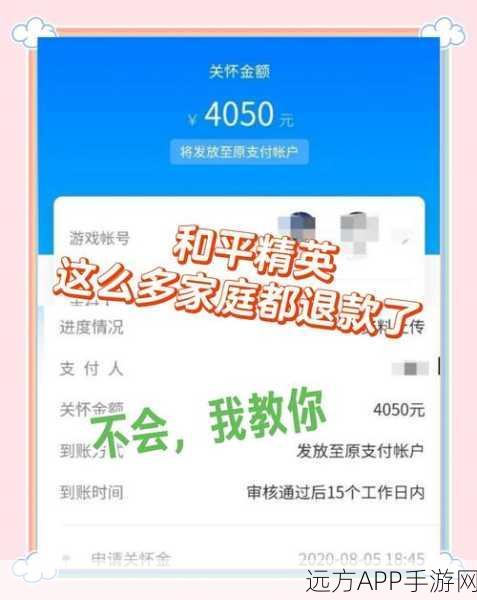 和平精英退款成功案例揭秘，退款流程、条件及玩家经验分享