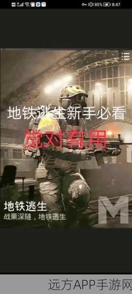 绝地求生高手秘籍,掌握屏息技巧,决胜战场每一刻