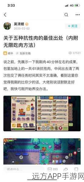伊洛纳新手攻略，开局制胜的全方位指南