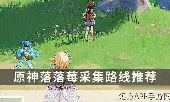 原神探索指南，揭秘望风山地落落莓的采集位置与技巧