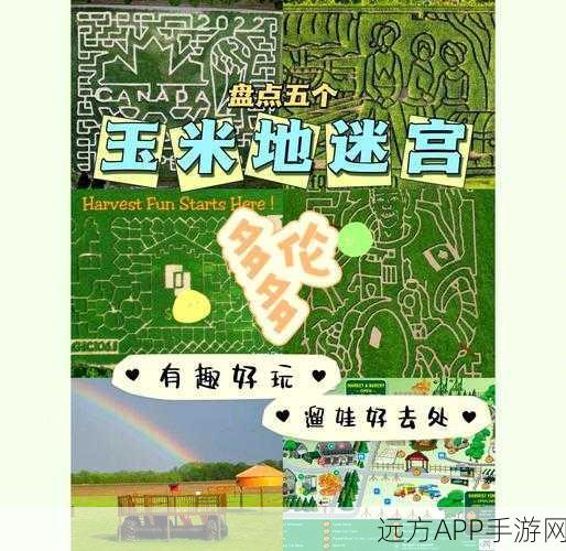玉米天堂,揭秘创造与魔法高效玉米刷取圣地全攻略