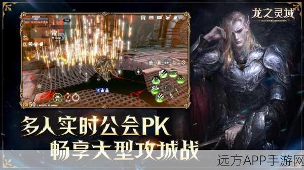 龙之灵域地下城探险指南，新手玩家的崛起之路