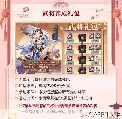 幻想三国志5，连击援助伙伴实战攻略，解锁战斗新境界