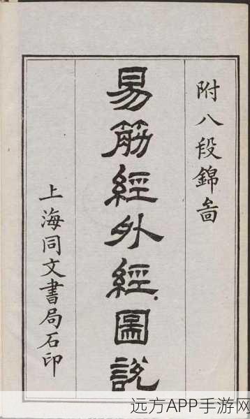 烟雨江湖高手进阶,易筋经修炼秘籍与实战绝学全解析