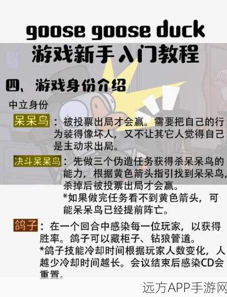 鹅鸭杀新手全攻略,从零开始的注册教程与深度玩法解析