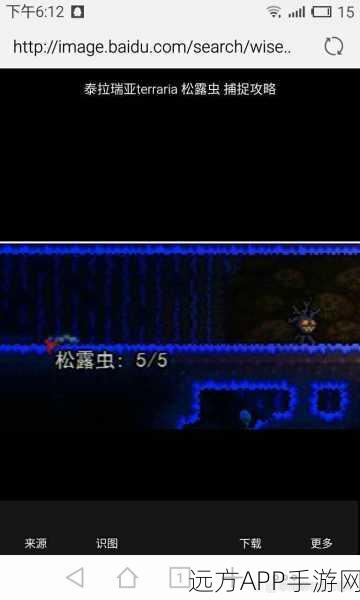 泰拉瑞亚珍稀探索，揭秘松露虫的奇妙用途与获取攻略