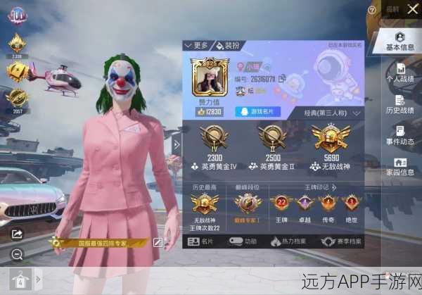 和平精英单排战神养成记,揭秘顶尖玩家的挑战与制胜策略