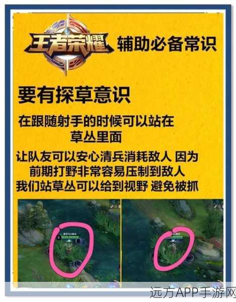 王者荣耀高手秘籍，揭秘王者峡谷隐藏战术，助你登顶荣耀之巅