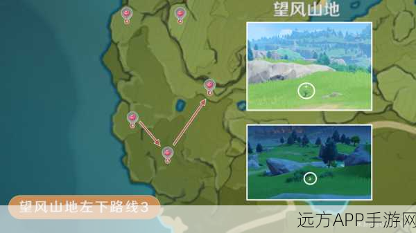 原神玩家必看，落落莓高效采集攻略，揭秘蒙德地区隐藏宝藏