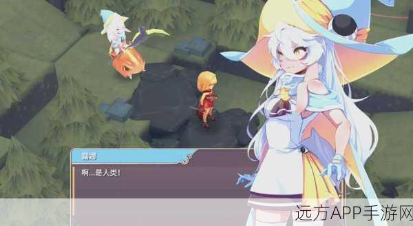 魔女之泉2深度攻略，二周目全解锁，揭秘未知魔法世界的探险之旅