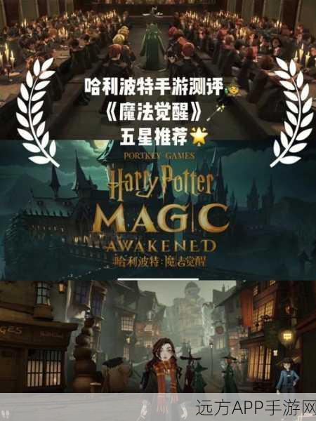 手游攻略大揭秘,解锁农夫哈利法师的终极秘籍