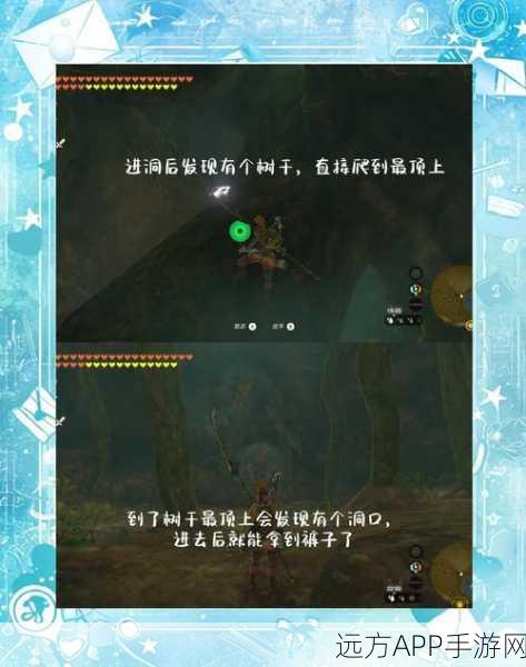 塞尔达传说王国之泪,海拉鲁草全采集攻略,解锁隐藏素材的秘密