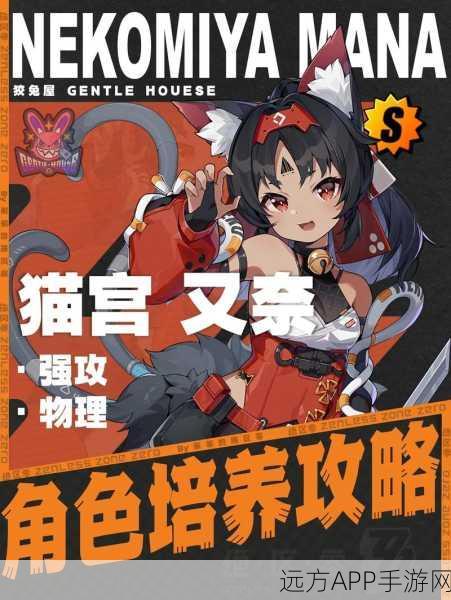 阴阳师新宠大猫，神秘身份与逆天技能全揭秘
