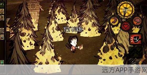 饥荒世界深度探索,揭秘泥泞地皮的生存策略与隐藏挑战