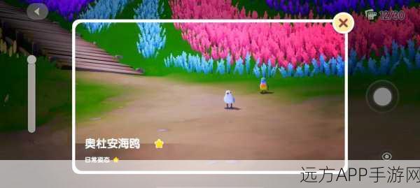 心动小镇海鸥资料卡全揭秘，探索海鸥的奇妙世界