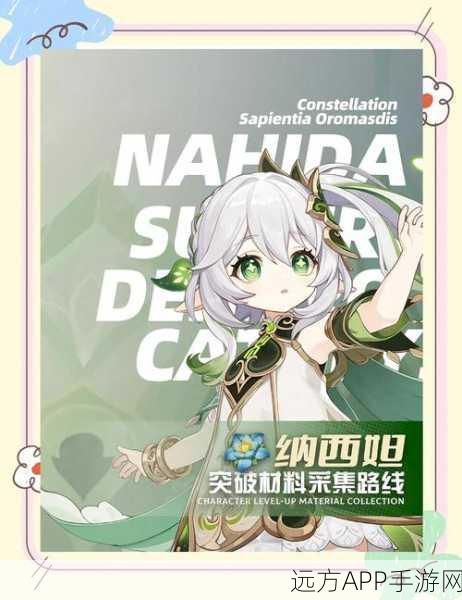 原神草神纳西妲必备,劫波莲高效采集全揭秘