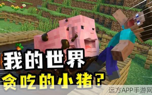 我的世界攻略,揭秘如何捕捉与培育超高速小猪仔!