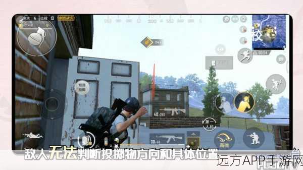 和平精英雾天模式深度解析，挑战与机遇并存