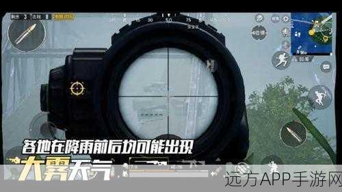 和平精英雾天模式深度解析，挑战与机遇并存