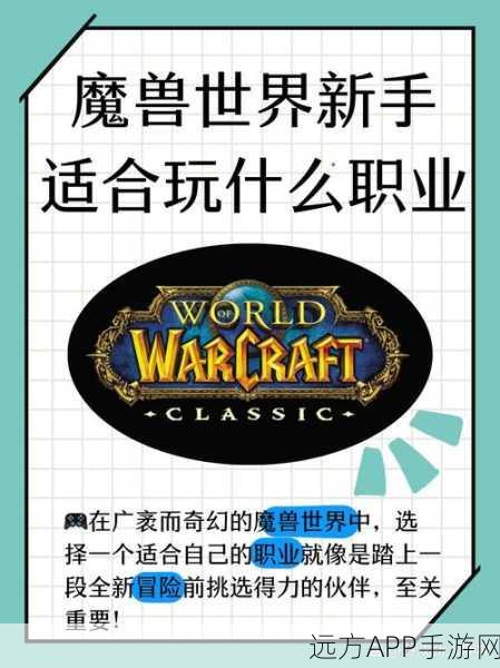 魔兽世界深度探索,揭秘游戏世界的真正灵魂,谁才是玩家心中的不二主角?