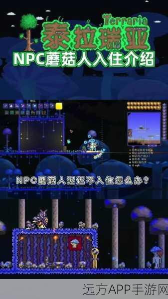 泰拉瑞亚深度探险，揭秘夜光蘑菇孢子高效获取策略